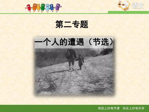 苏教版高中语文必修二 第2专题 《一个人的遭遇(节选)》课件