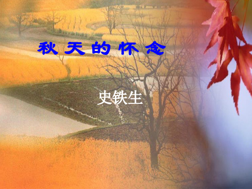 秋天的怀念完整版
