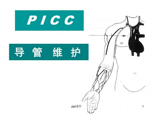 PICC导管维护  ppt课件