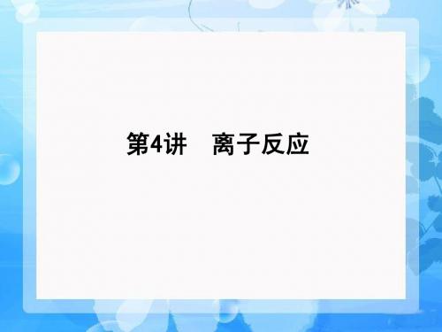 2012年化学高考第一轮总复习课件：第二章 第4讲 离子反应