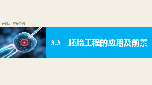 2019-2020学年高二生物人教版选修3课件：专题3 胚胎工程 3.3 