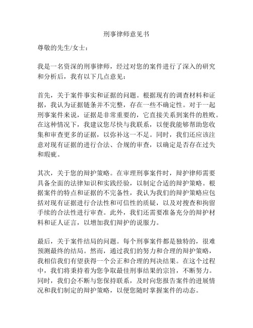 刑事律师意见书