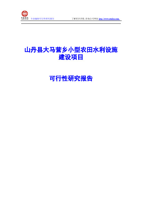 山丹县大马营乡小型农田水利设施建设项目可行性研究报告