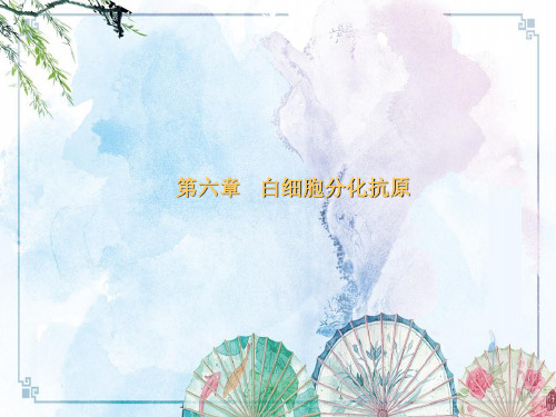 【免疫学】第六章CD分子