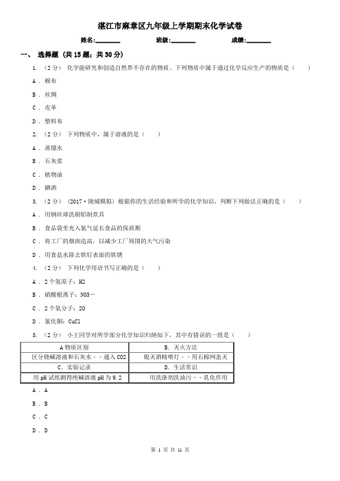 湛江市麻章区九年级上学期期末化学试卷