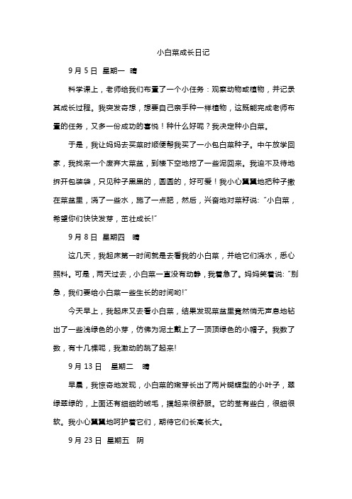 小白菜成长日记