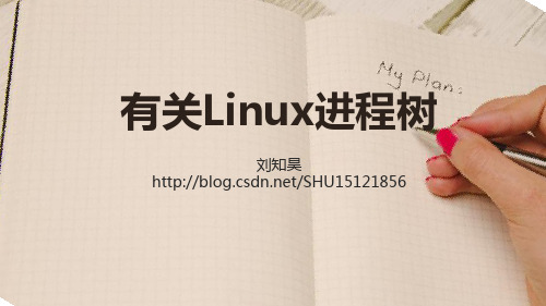 Linux进程家族树(上海大学操作系统研讨)