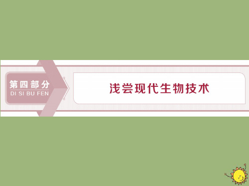 2019_2020学年高中生物第四部分浅尝现代生物技术实验11植物的组织培养课件浙科版选修1