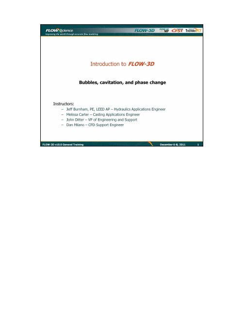 flow3d-12 - Bubbles, cavitation, and phase change