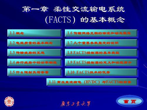 第一章FACTS的概念和传输系统.ppt