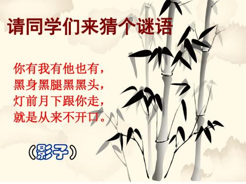 18.《竹影》课件