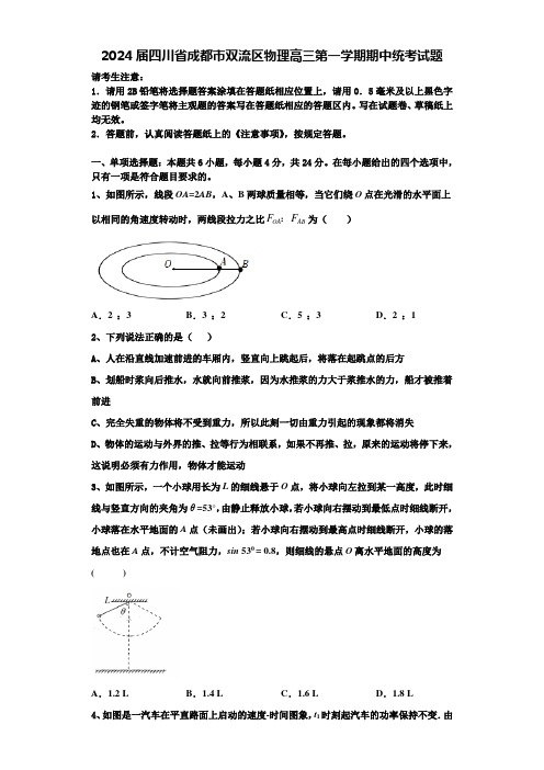 2024届四川省成都市双流区物理高三第一学期期中统考试题含解析