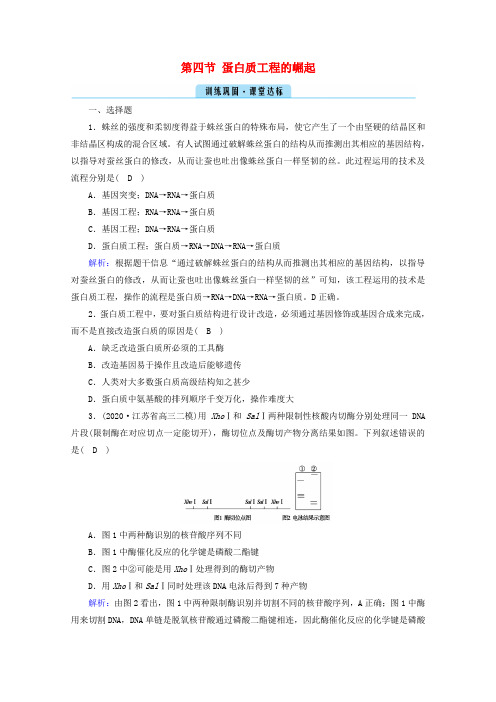 高中生物专题一基因工程第四节蛋白质工程的崛起课堂训练新人教版选修