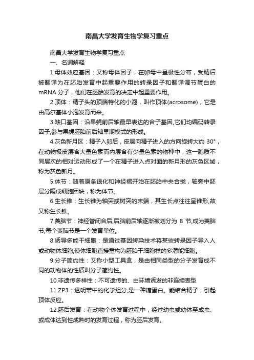 南昌大学发育生物学复习重点