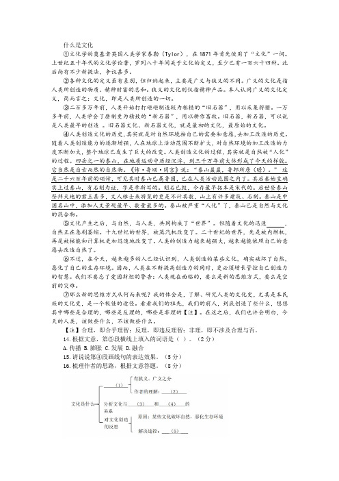 《什么是文化》阅读训练及答案