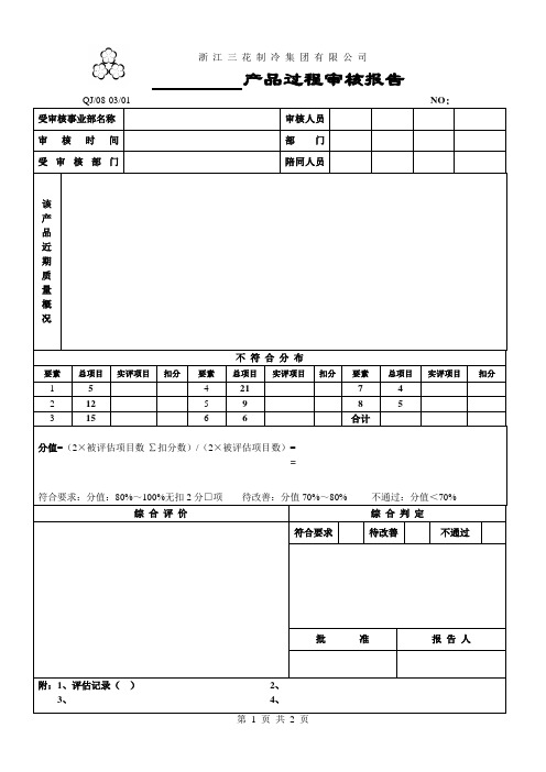 08-03-01产品过程审核报告