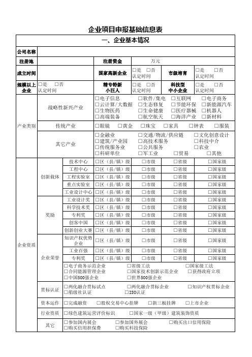 企业项目申报咨询信息表完整版