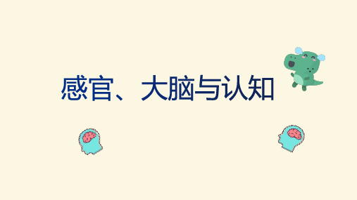 大象版小学五年级上册科学 第二单元 人体司令部 1 感官、大脑与认知 教学课件