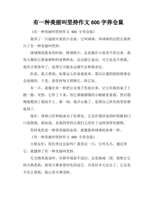 有一种美丽叫坚持作文600字养仓鼠