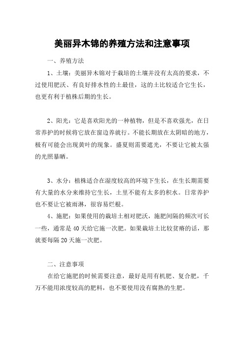 美丽异木锦的养殖方法和注意事项