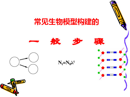 常见生物模型构建的一般步骤