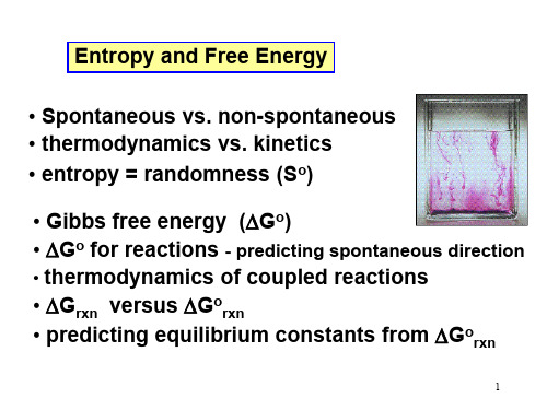 Entropy and Free Energy熵与自由能-70页精品文档