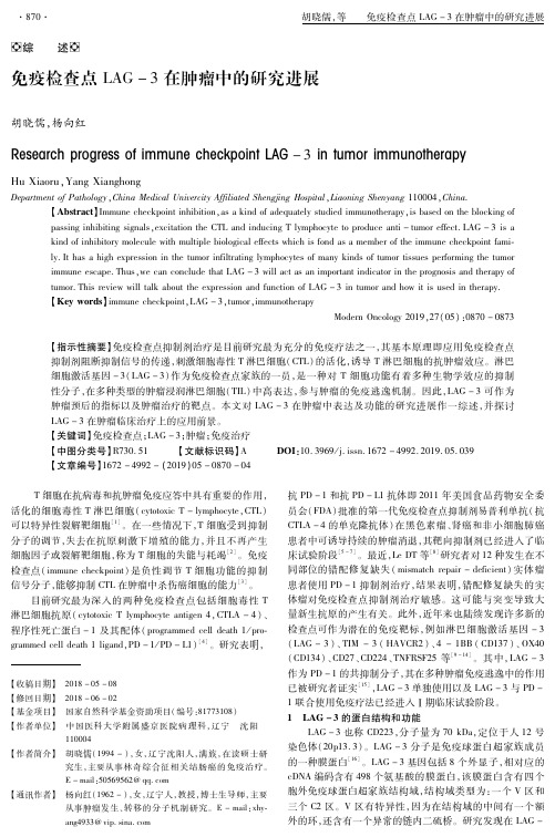 免疫检查点LAG3在肿瘤中的研究进展