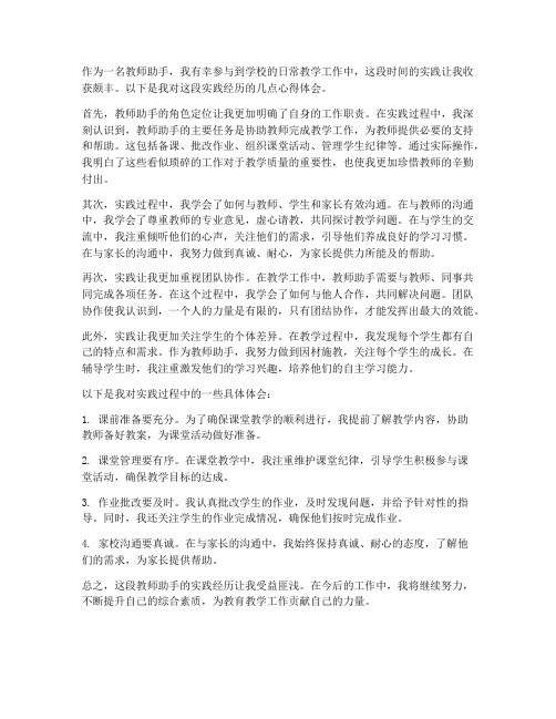 教师助手实践心得体会