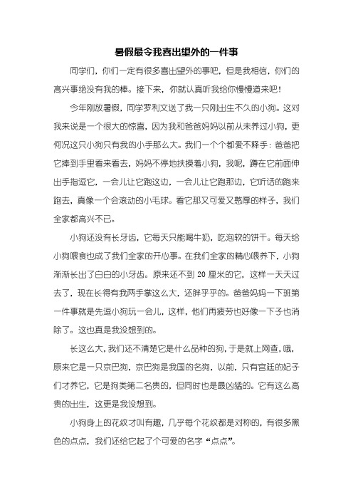 六年级作文：暑假最令我喜出望外的一件事作文800字