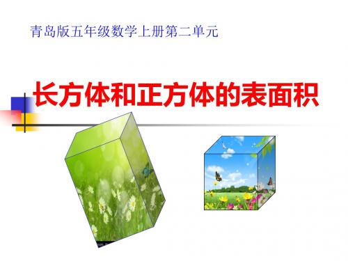 青岛版小学五年级数学上册第二单元《长方体和正方体的表面积》课件