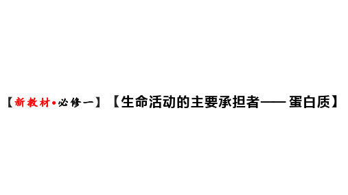 新人教必修1专题复习课件：06 蛋白质