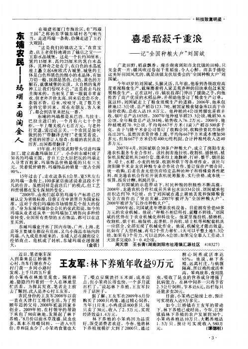 东埔农民——玛瑙王国淘金人