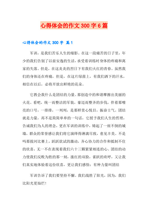 心得体会的作文300字6篇