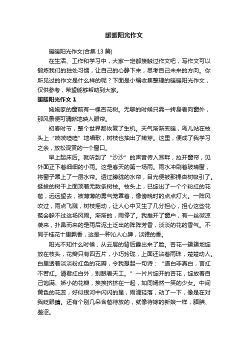 暖暖阳光作文（合集13篇）