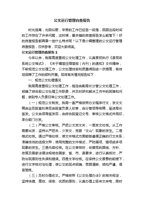 公文运行管理自查报告