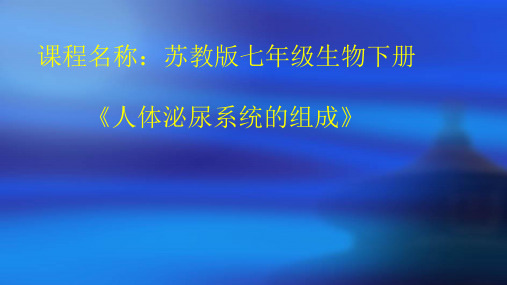 《第一节 人体泌尿系统的组成》PPT课件(甘肃省市级优课)