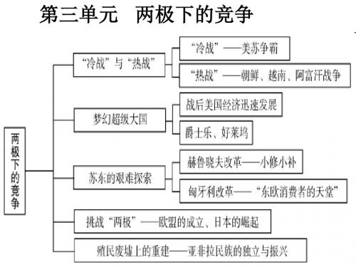 2018最新九年级历史下册 第三单元   两极下的竞争 (人教版)