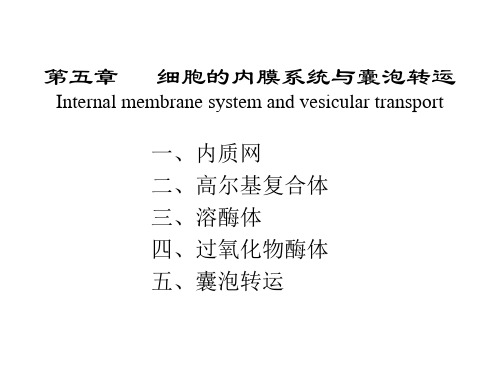 细胞生物学  第五章  细胞的内膜系统