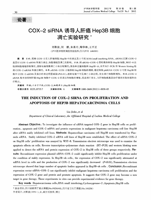 COX-2 siRNA诱导人肝癌Hep3B细胞凋亡实验研究