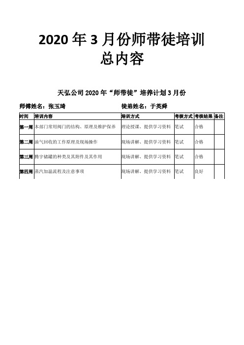 2020年化工公司3月师带徒培训总内容