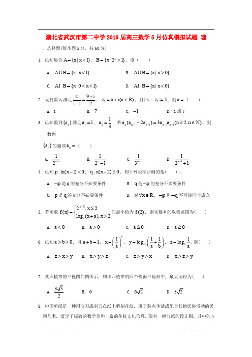 湖北省武汉市第二中学2019届高三数学5月仿真模拟试题理