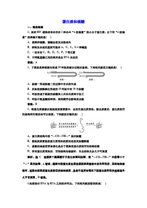 高三总复习生物检测题 蛋白质和核酸