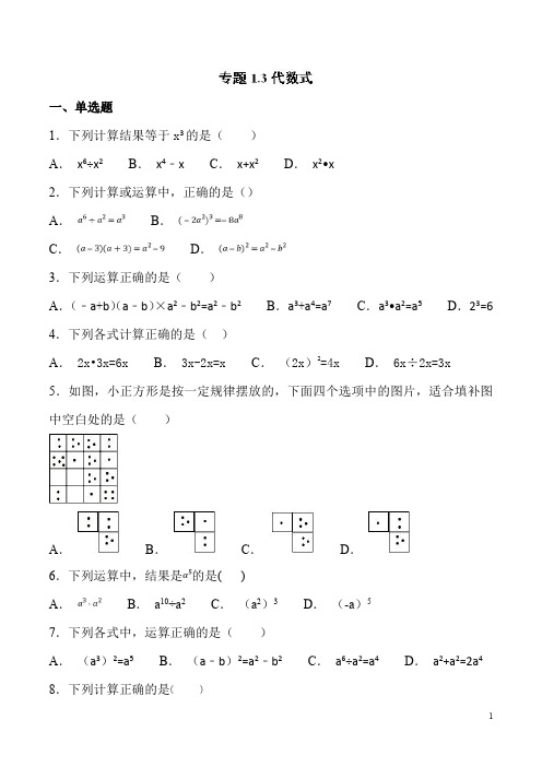 中考数学专题之代数式3试题及详细解析     