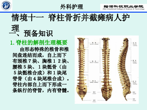 情境11 颈椎骨折并脊髓损伤病人护理