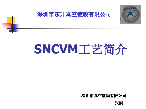 SNCVM工艺简介