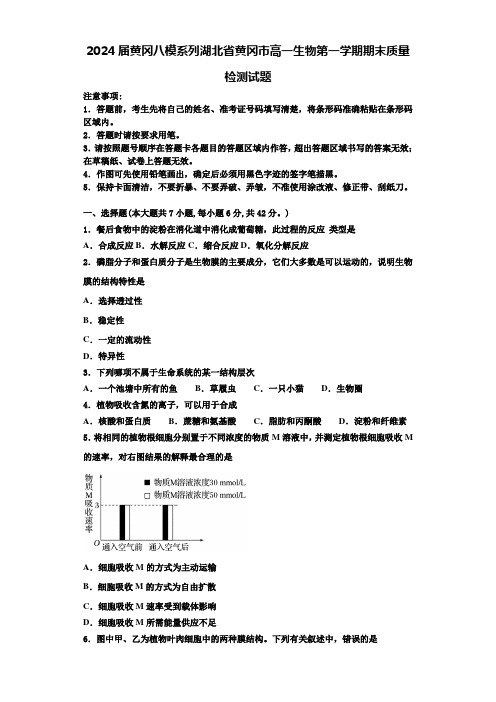 2024届黄冈八模系列湖北省黄冈市高一生物第一学期期末质量检测试题含解析