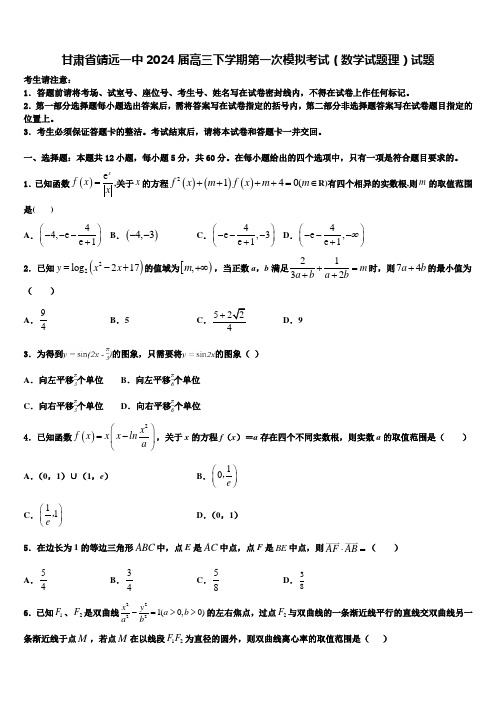 甘肃省靖远一中2024届高三下学期第一次模拟考试(数学试题理)试题