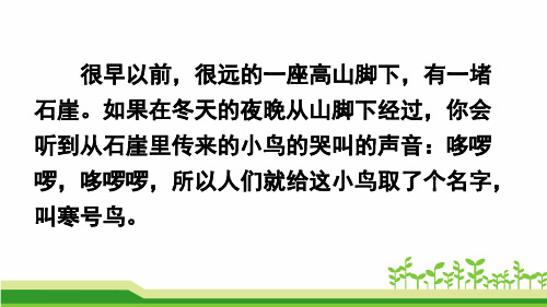 部编版二年级语文上册13 寒号鸟  -优质课件