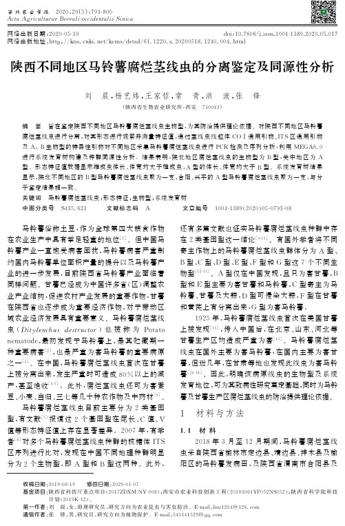 陕西不同地区马铃薯腐烂茎线虫的分离鉴定及同源性分析