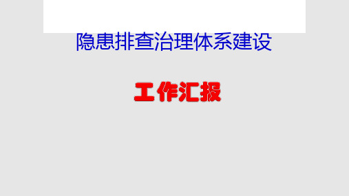 隐患排查治理体系建设情况汇报